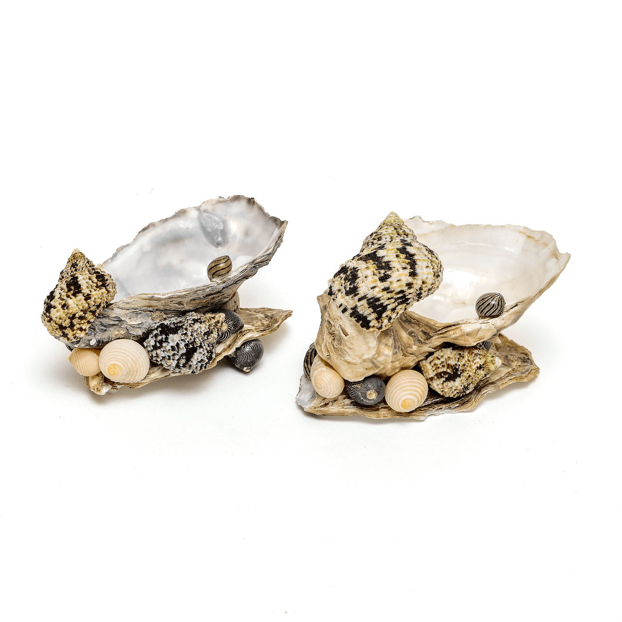 Shell Salt & Pepper Set