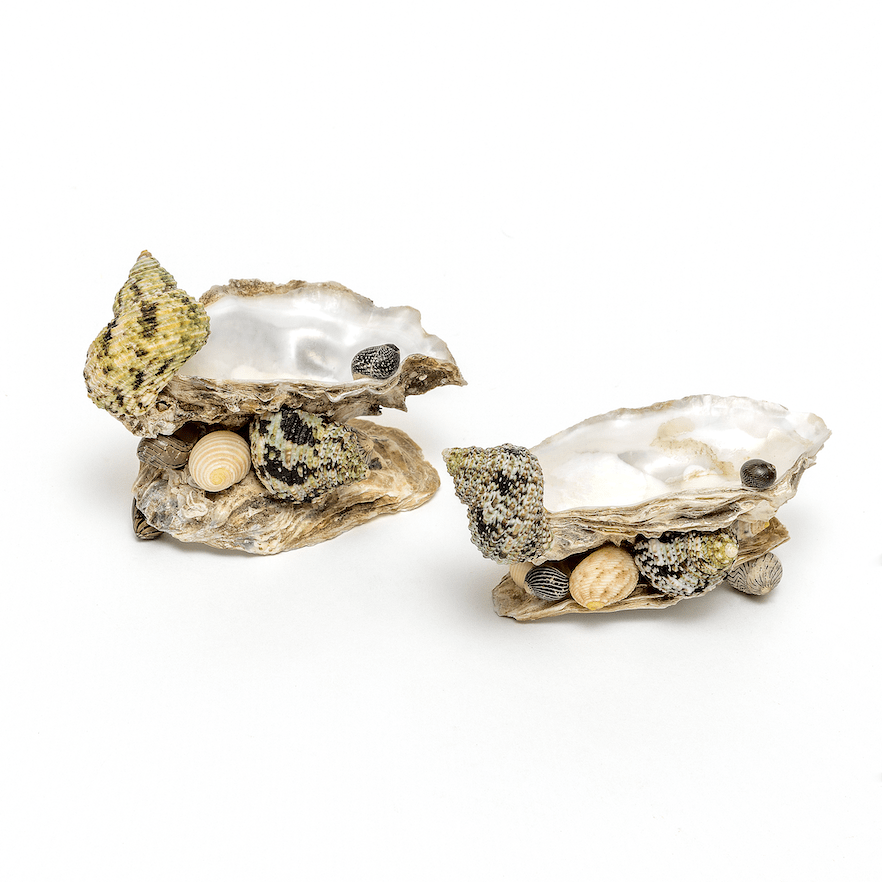 Shell Salt & Pepper Set