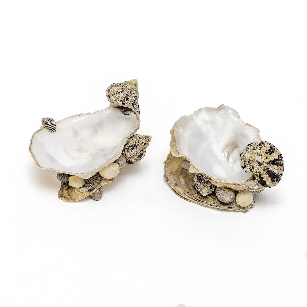 Shell Salt & Pepper Set