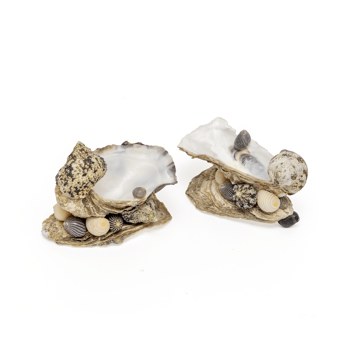 Shell Salt & Pepper Set