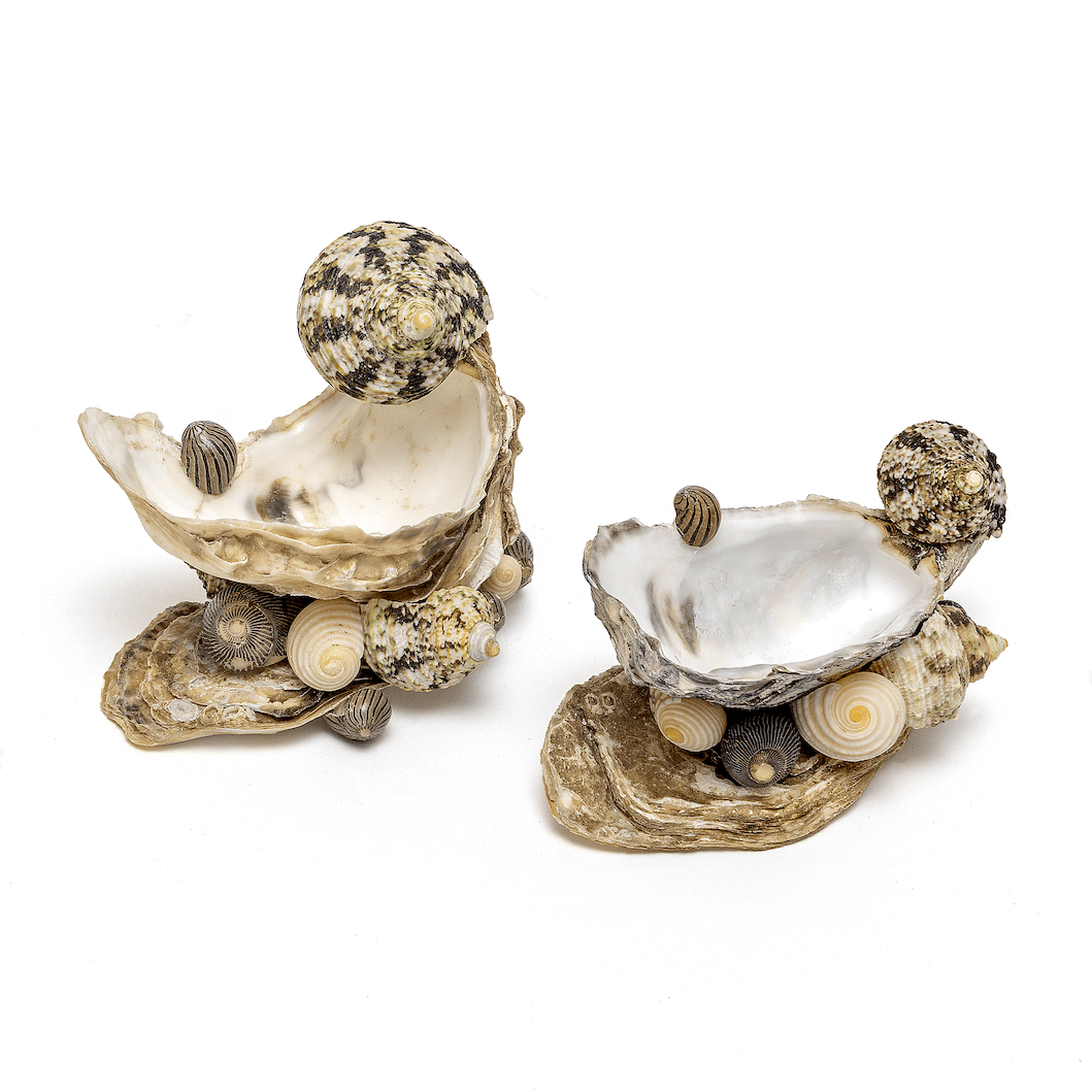 Shell Salt & Pepper Set