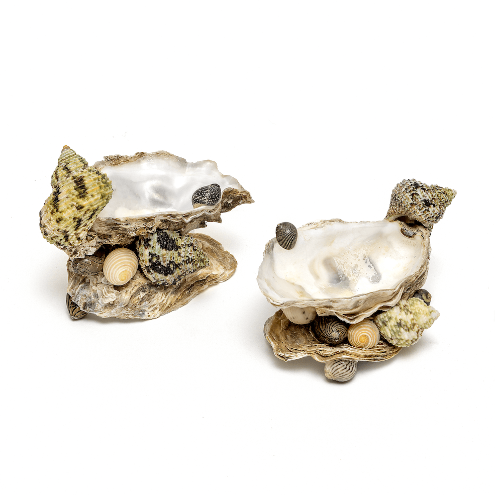 Shell Salt & Pepper Set
