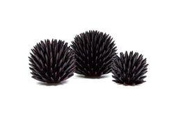Ceramic Sea Urchin