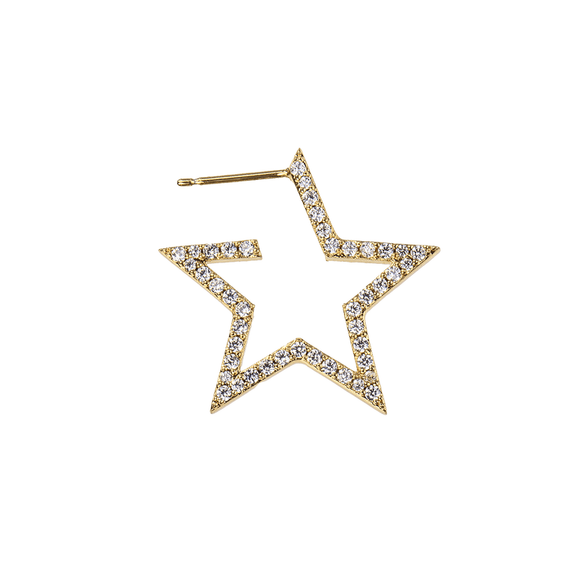 Earrings "star"